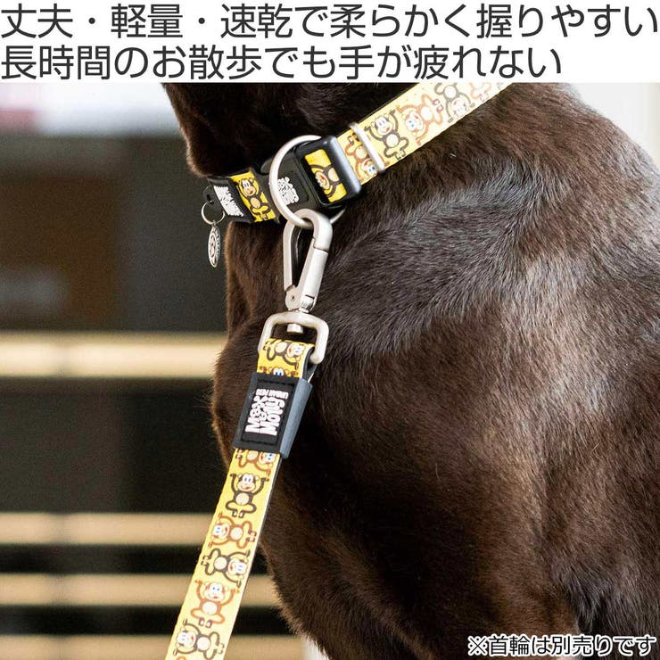 リード 犬 M | livingut | 詳細画像2 