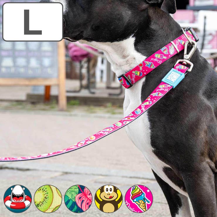 リード 犬 L | livingut | 詳細画像1 