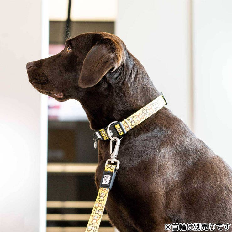 リード 犬 S | livingut | 詳細画像7 