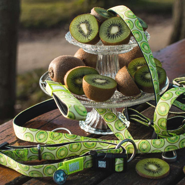 リード 小型犬 XS | livingut | 詳細画像5 