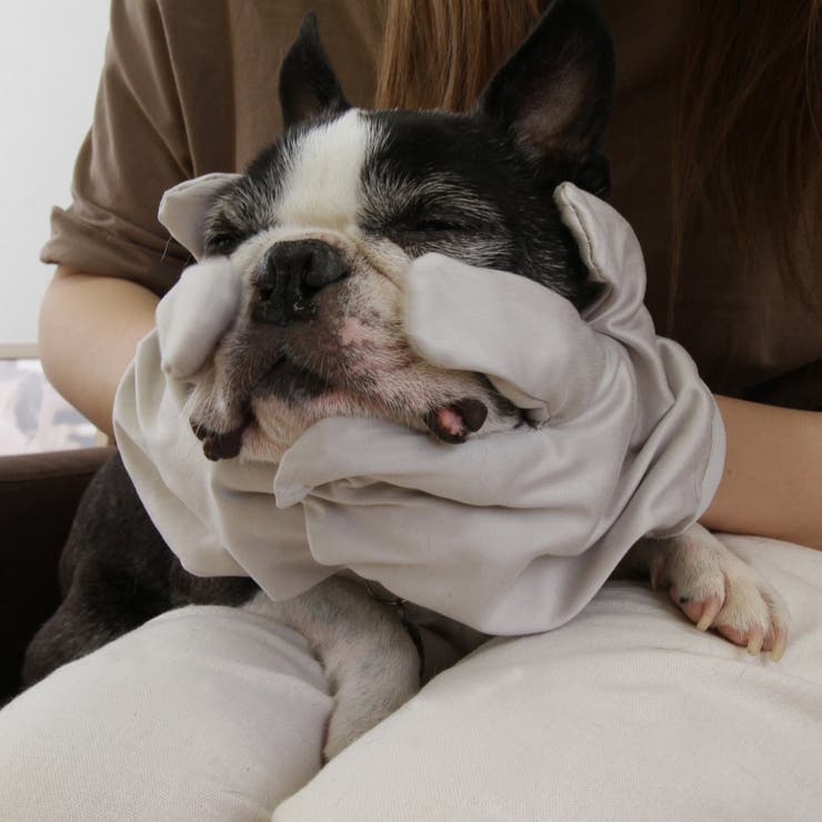 お顔すっきりグローブ 2枚組 ペット用 | livingut | 詳細画像4 