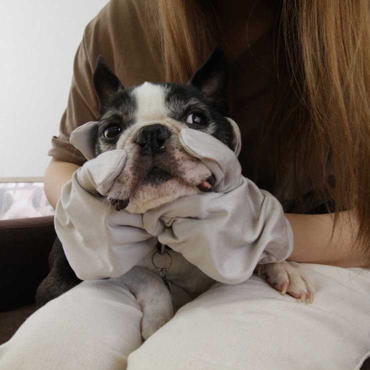 お顔すっきりグローブ 2枚組 ペット用 | livingut | 詳細画像6 