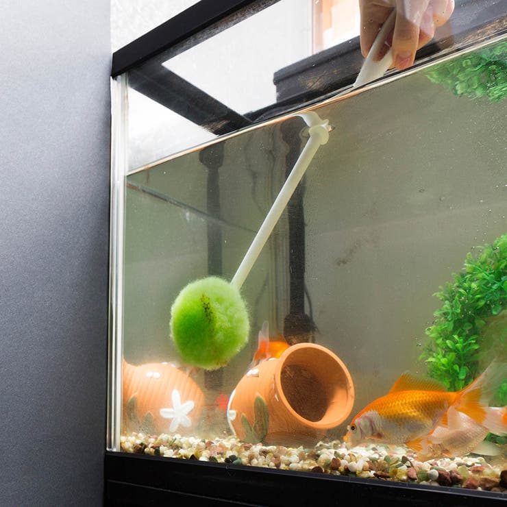 スポンジ びっくり水槽クリーナー 水槽 | livingut | 詳細画像3 