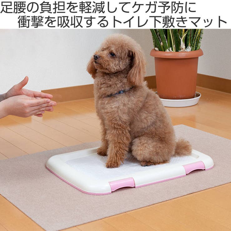 ペットマット ペット用トイレ下敷きマット 犬 | livingut | 詳細画像2 