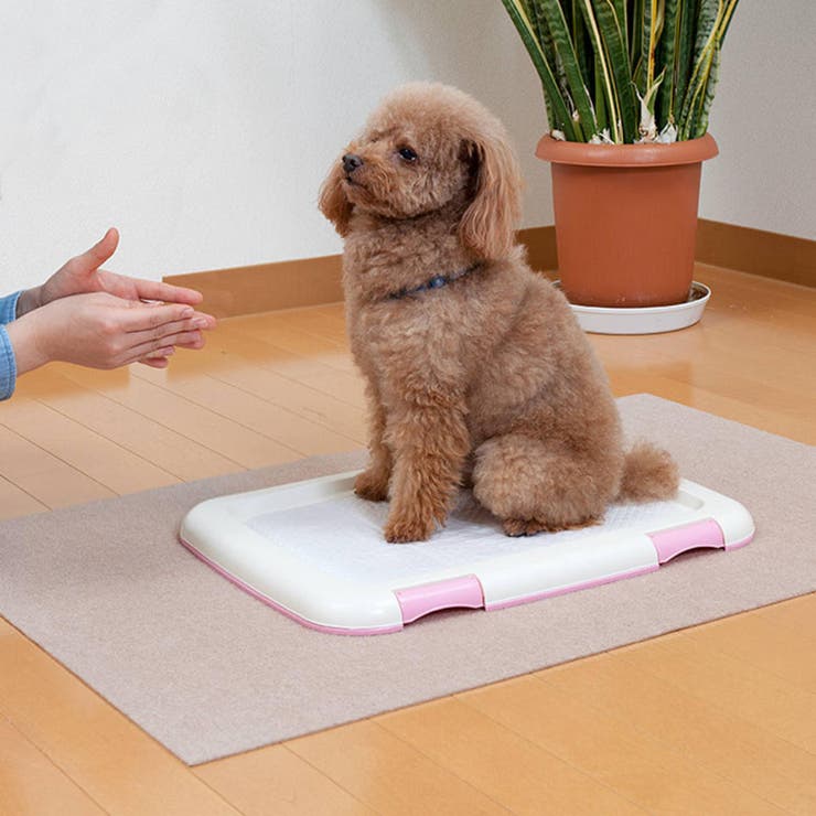 ペットマット ペット用トイレ下敷きマット 犬 | livingut | 詳細画像7 
