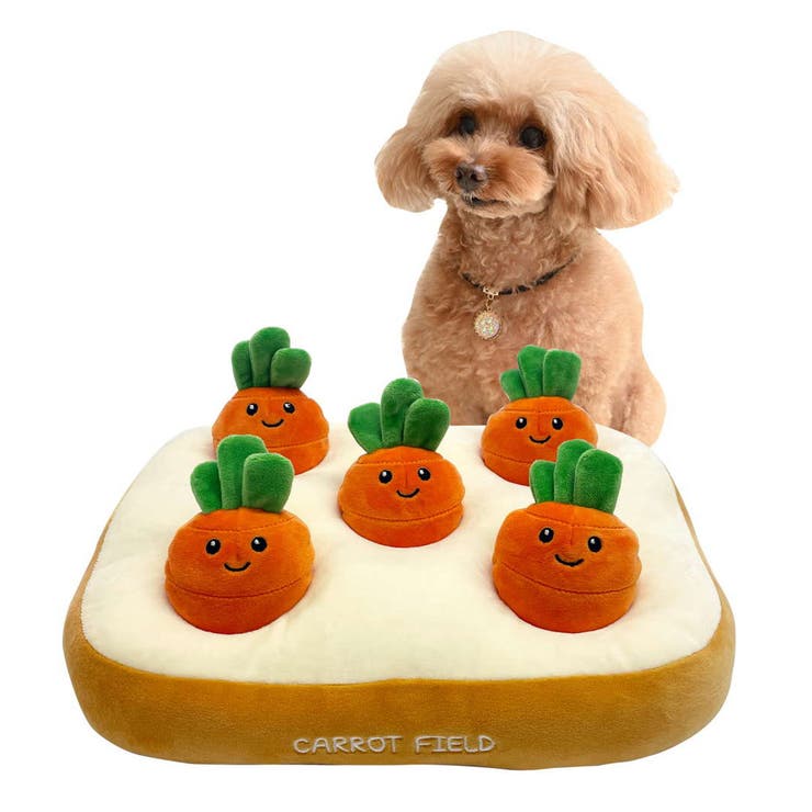 ノーズワーク にんじん 肉 | livingut | 詳細画像1 