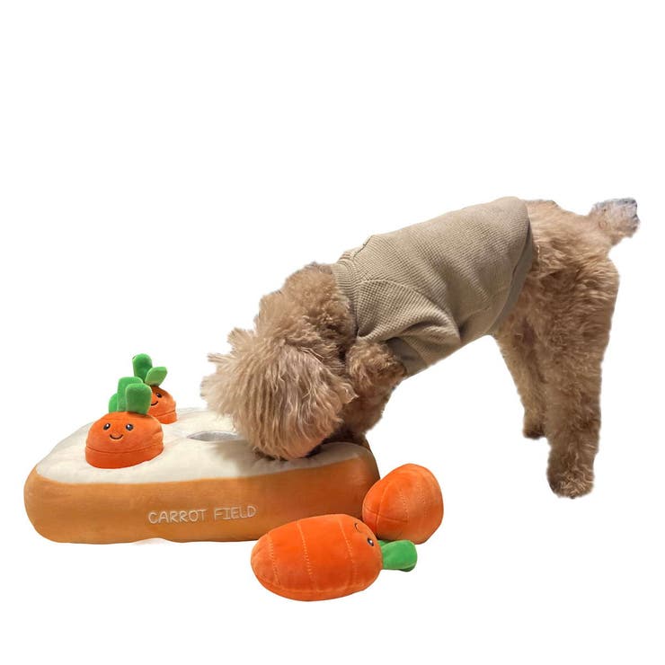 ノーズワーク にんじん 肉 | livingut | 詳細画像4 