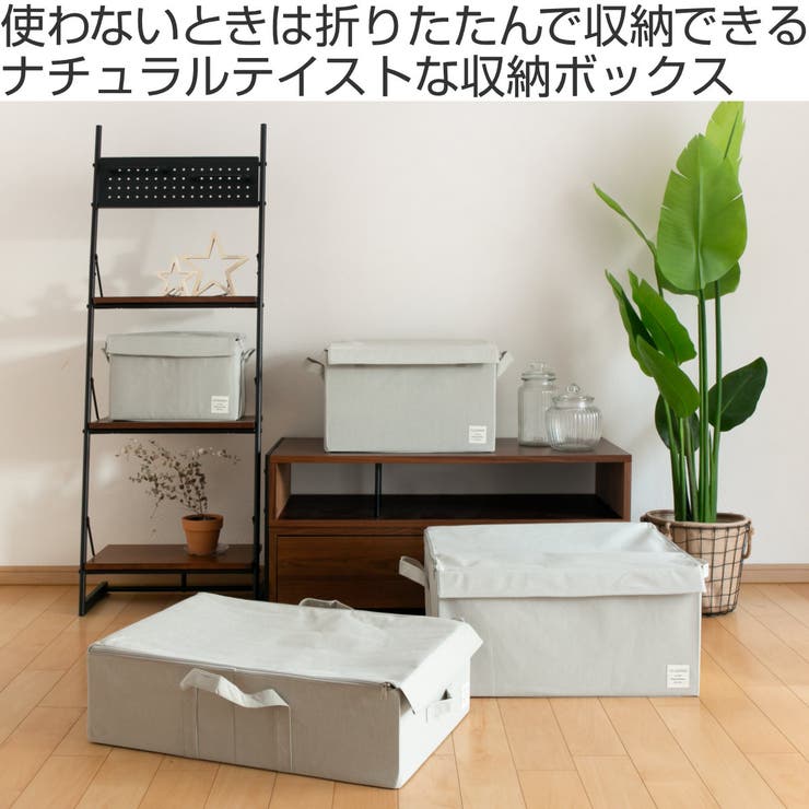 収納ボックス ストレリアナチュレ ベッド下 | livingut | 詳細画像2 