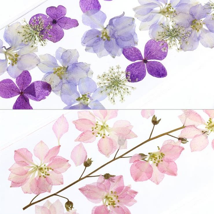 押し花iPhone用ケース | LUPIS | 詳細画像10 