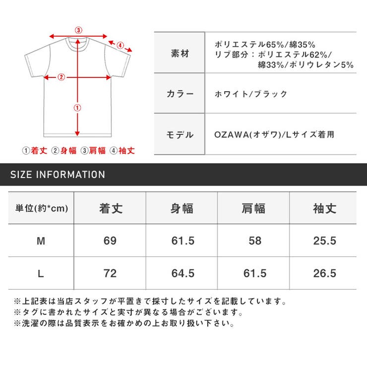 Tシャツメンズ半袖ビッグシルエット刺繍バックプリントトップスカットソー半袖Tシャツオーバーサイズ天竺ワンポイントグラフィティストリートスケーター韓国ユニセックスaa-2593