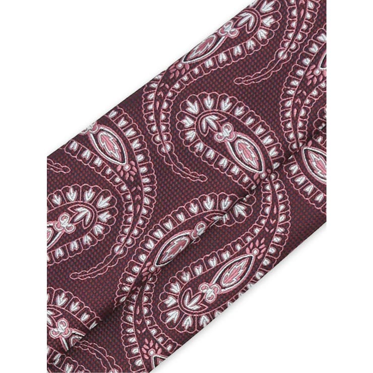 ウォッシャブル ペイズリー柄 レギュラータイ 8.0cm幅 | TAKA-Q MEN | 詳細画像3 