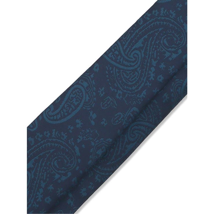 エコペット/ECO PET ペイズリー柄 レギュラータイ 8.0cm幅 | TAKA-Q MEN | 詳細画像5 