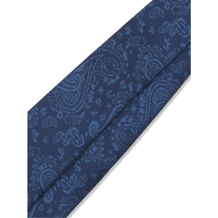 エコペット/ECO PET ペイズリー柄 レギュラータイ 8.0cm幅 | TAKA-Q MEN | 詳細画像7 