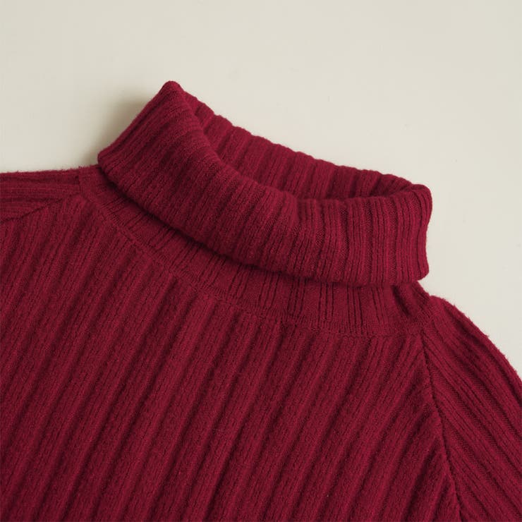 優しい質感タートルネックで暖か美シルエットリブニット シンプル韓国ファッション | maison de LATIR | 詳細画像83 