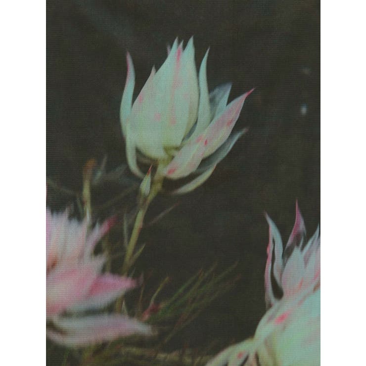 プリントシアーナロースカート | MURUA | 詳細画像33 