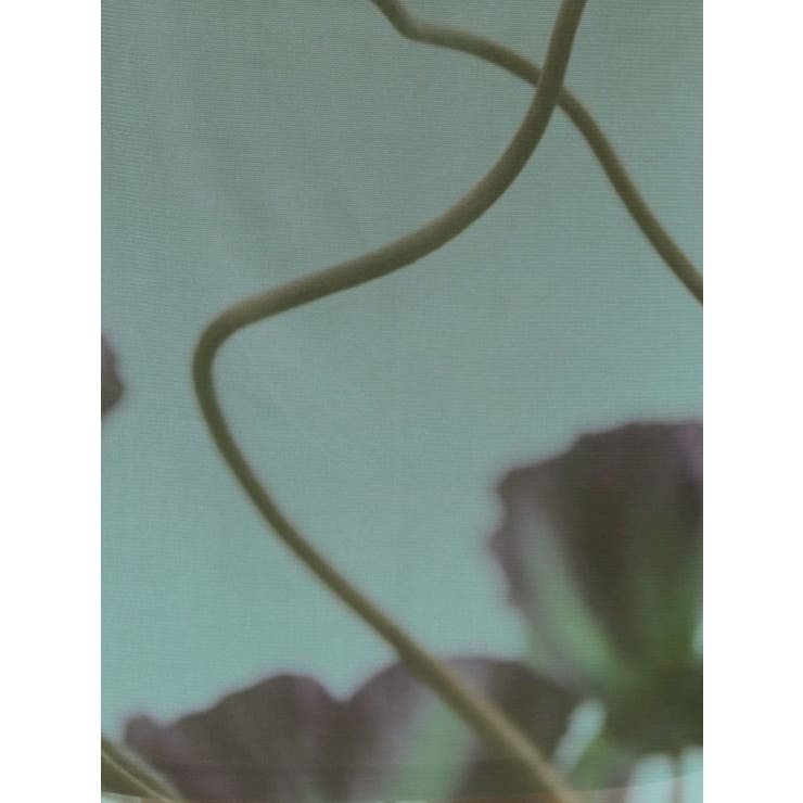 プリントシアーナロースカート | MURUA | 詳細画像34 