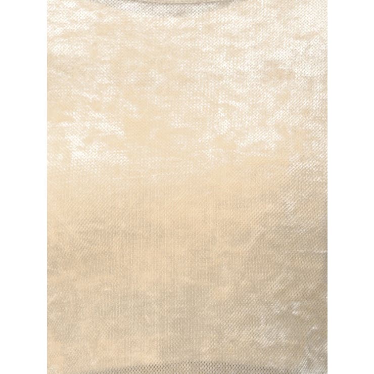 シアーベロアレイヤードトップス | dazzlin | 詳細画像42 