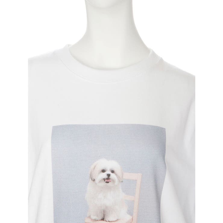 ど～んとモコゾウlong Tee[品番：MKSW0020995]｜merry jenny