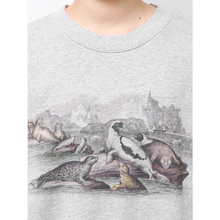 she saw seal sweat | merry jenny | 詳細画像22 