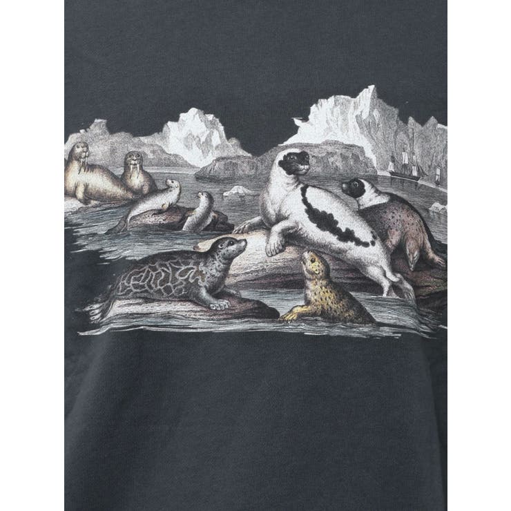 she saw seal sweat | merry jenny | 詳細画像27 