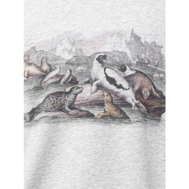 she saw seal sweat | merry jenny | 詳細画像28 