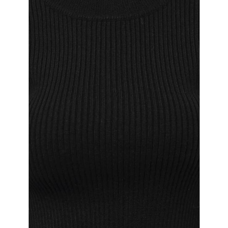 プレーティングリブニットトップス | EVRIS | 詳細画像36 