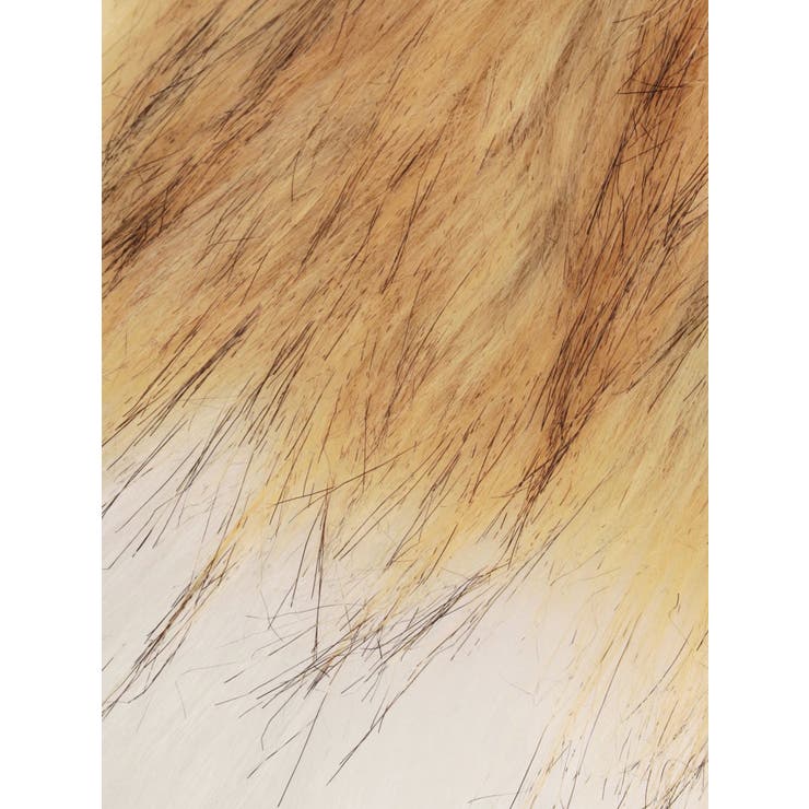 BIGフェイクファーしっぽチャーム | EVRIS | 詳細画像17 