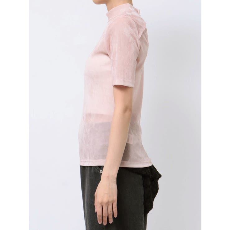 TULLE FLOCKING EMB | CALNAMUR | 詳細画像47 