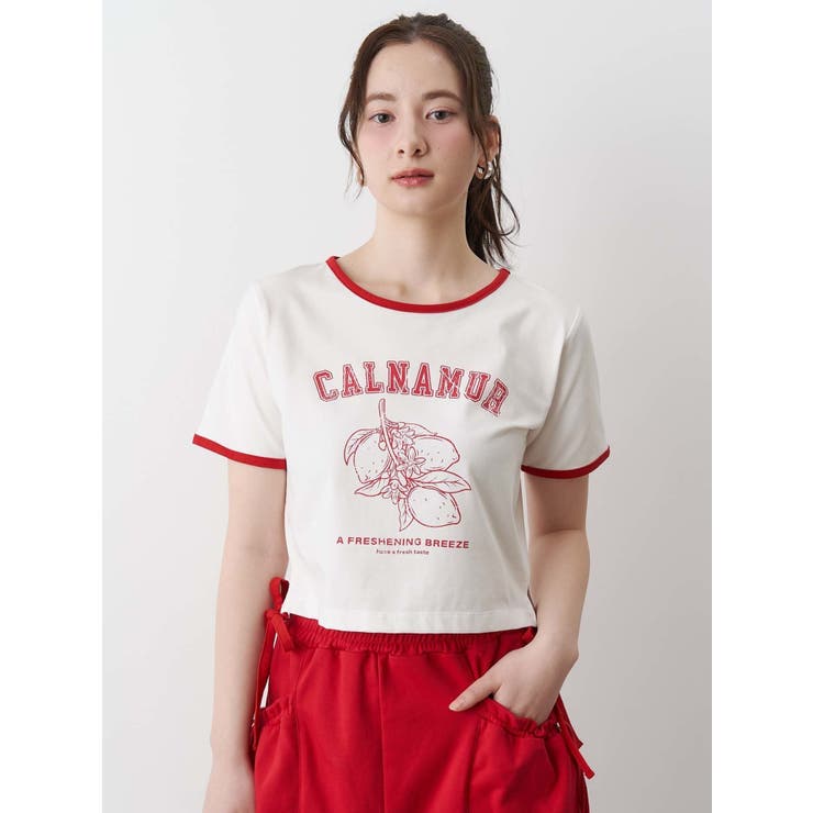 COLOR SCHEME LEMON | CALNAMUR | 詳細画像24 