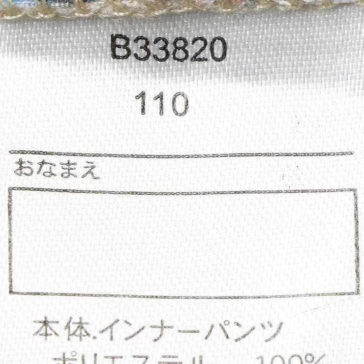 恐竜柄スイムパンツ・水着 90cm～130cm B33820 | こどもの森e-shop | 詳細画像10 