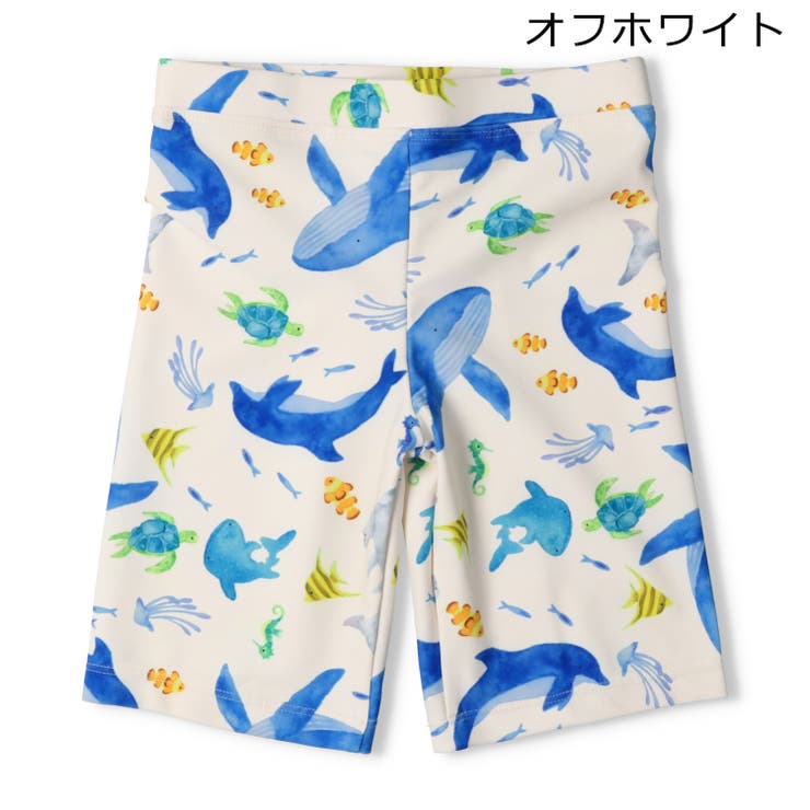 海の生き物総柄スイムパンツ・水着[品番：MTIK0011720]｜こども
