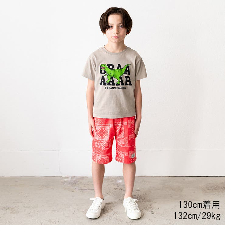【子供服】crescent(クレセント)恐竜プリント半袖Tシャツ80cm～130cmN32817