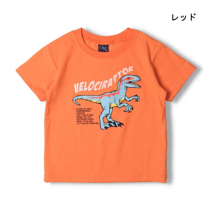 【子供服】crescent(クレセント)恐竜プリント半袖Tシャツ80cm～130cmN32817