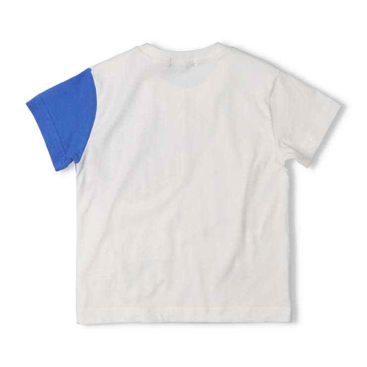 【WEB限定】ジンベイザメ半袖Ｔシャツ | こどもの森e-shop | 詳細画像2 