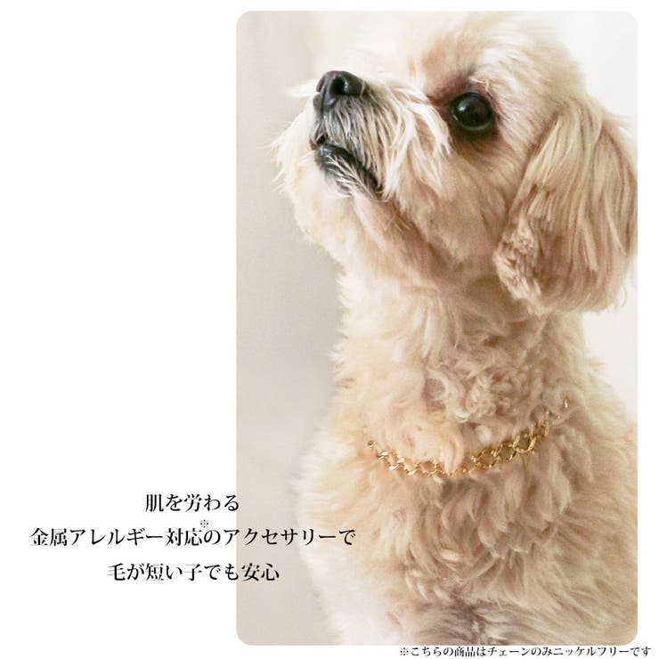 首輪