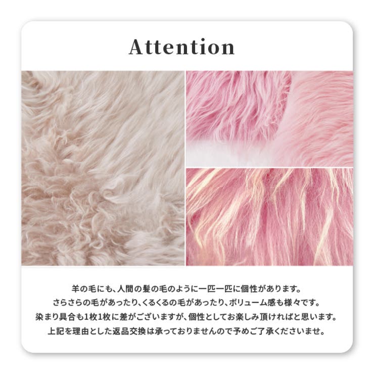 imgrc0079190357.jpg