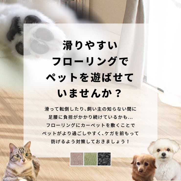 カーペット ペット 敷き詰め | MY ROOM’S | 詳細画像3 