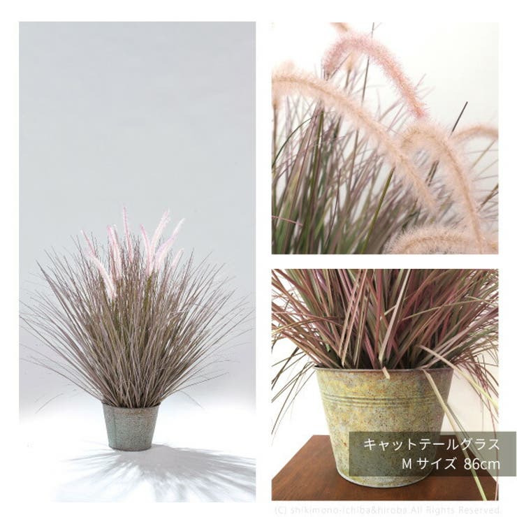 観葉植物 光触媒 サニーグラス 品番 Hghh My Room S マイルームズ のレディースファッション通販 Shoplist ショップリスト