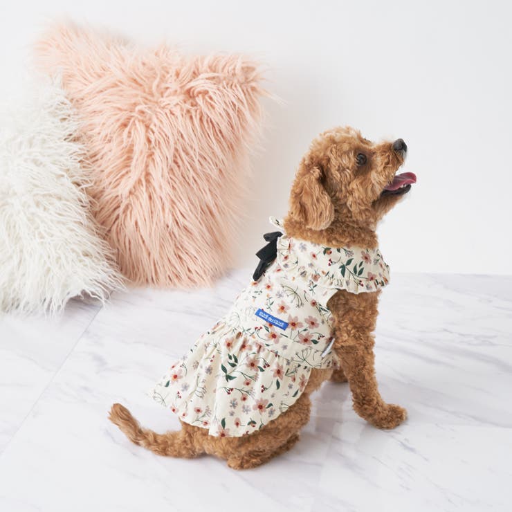 小花柄リボンタイワンピース 品番 Olow Olive Des Olive Outlet オリーブデオリーブアウトレット のレディースファッション通販 Shoplist ショップリスト