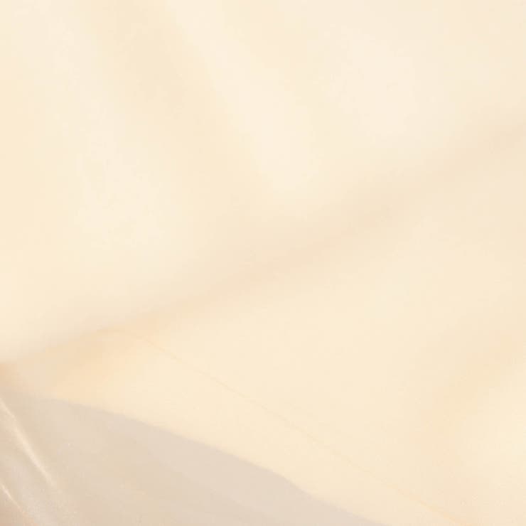 長袖オーガンジーカットソー | NICOLE | 詳細画像11 