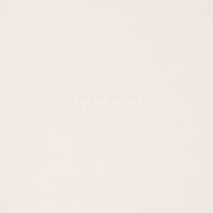 【RIELABO】ロゴ×フォトプリントクルーネックTシャツ | NICOLE | 詳細画像14 