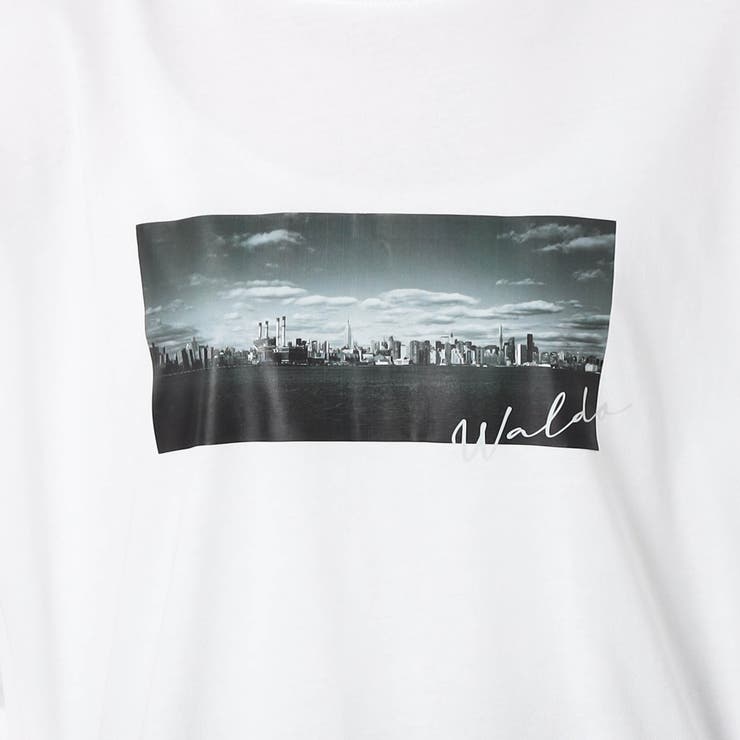 【WALDO】フォトプリントTシャツ | NICOLE | 詳細画像10 