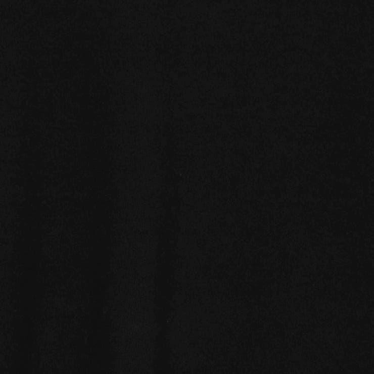 日本製 デラヴェ天竺切り替えTシャツ | NICOLE | 詳細画像19 