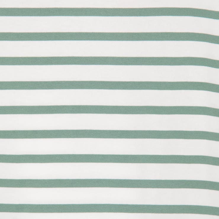 tシャツ 日本製デラヴェ天竺 半袖Ｔシャツボーダー シーズンカラー レディース 日本製】デラヴェ天竺 半袖Tシャツボーダー シーズンカラー