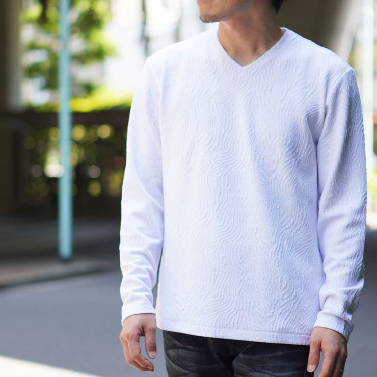 ゼブラ風ブリスタ-ジャカードＶネックプルオーバー | NICOLE | 詳細画像15 