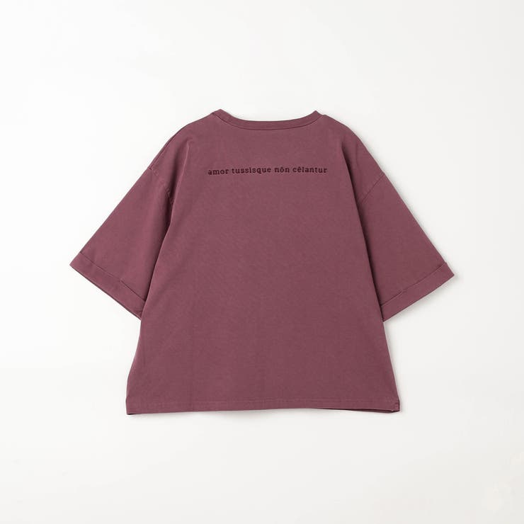 【ZELDA】ヴィンテージライクロゴTシャツ | NICOLE | 詳細画像13 