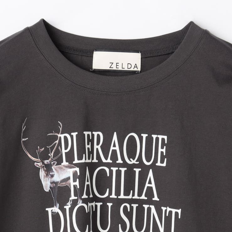 【ZELDA】グラフィックデザインロングTシャツ | NICOLE | 詳細画像20 