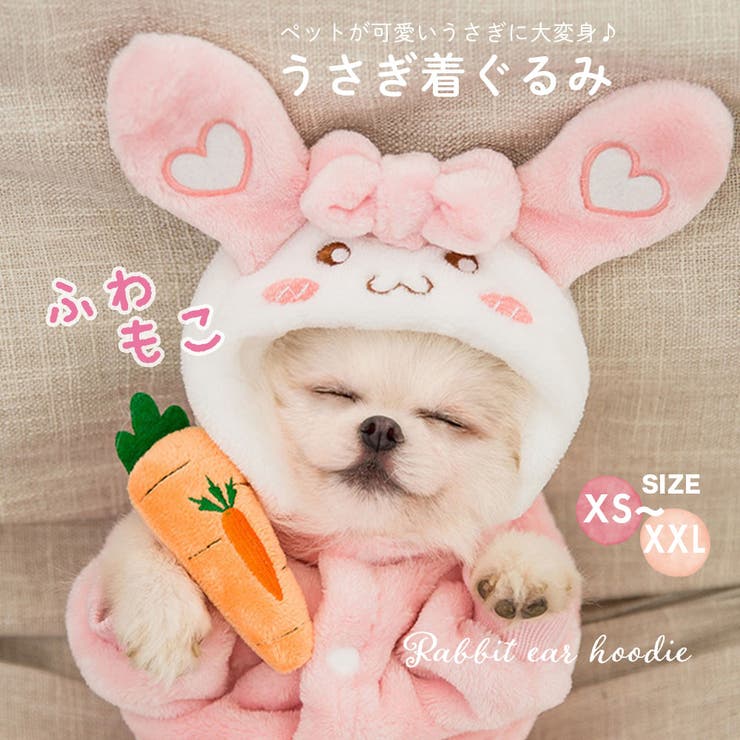 ペット 服 小中型犬服[品番：YAMW0007805]｜Y&M（ワイアンドエム）の