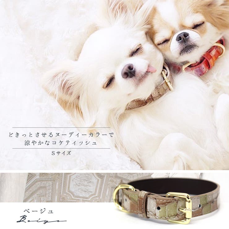 首輪 犬 本革[品番：NNNA0001523]｜ninon（ニノン）のファッション通販｜SHOPLIST（ショップリスト）