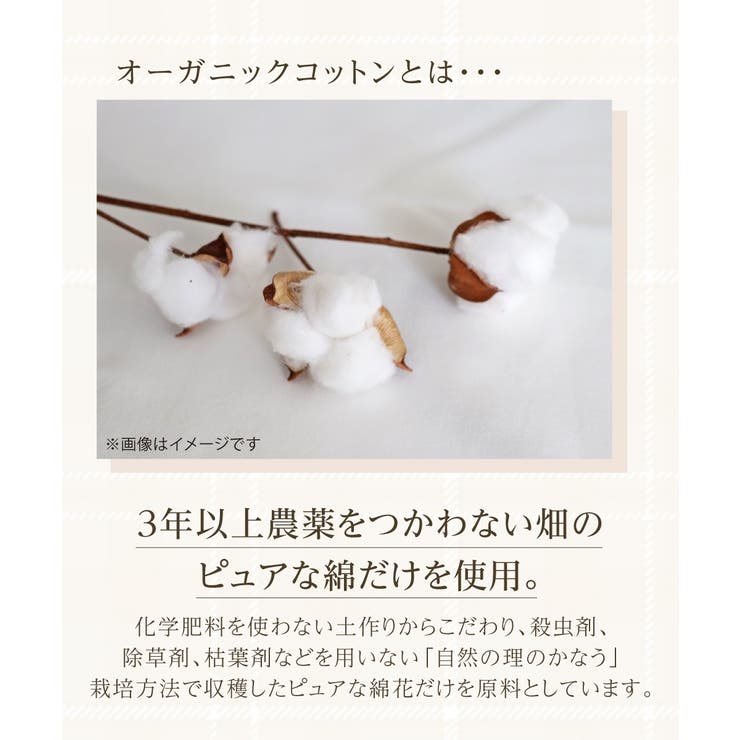 まるでＮＯパン オーガニックコットン１００％リブゆったり締め付けないショーツ２枚… | nissen | 詳細画像13 